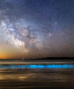 Île d'Houat : Plancton phosphorescent