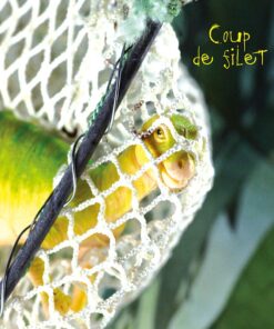 photo de Katy Sannier - Coup de filet