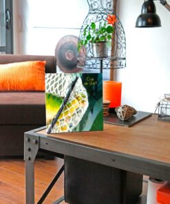 photo de Katy Sannier - Coup de filet