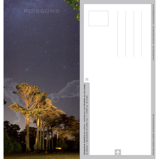 Carte postale "Constellation du zodiaque : les Poissons"
