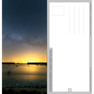 Carte postale "Planctons phosphorescents à Hoëdic"