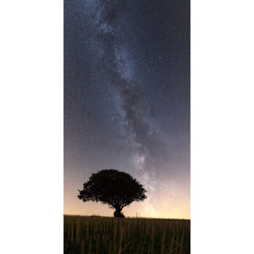 Photo "Plonévez-du-Faou : La Voie lactée et un arbre"