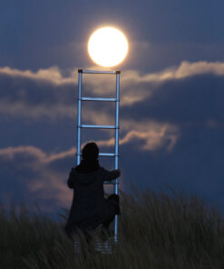 Photo "Monter sur le Lune à l'aide d'une échelle"