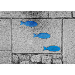 Photo à encadrer Brèves de rue "Trois poissons bleus"