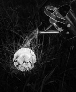 Photo à encadrer Lune sous un nouveau jour "La Lune sous un arrosoir"