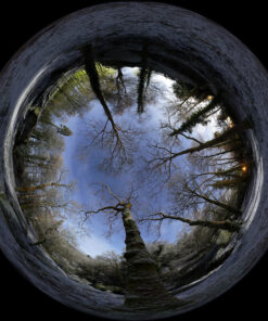 Photo 20x20 cm à encadrer "Huelgoat : la forêt"