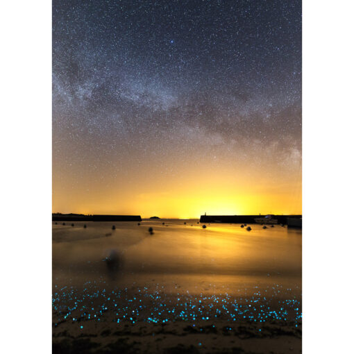 Photo A4 à encadrer "Île d'Hoëdic : Planctons phosphorescents"