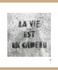 Mini-cadre "la vie est un cadeau"