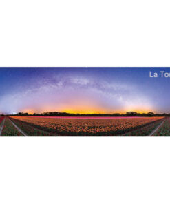 Magnet "Champ de tulipes de La Torche sous la Voie lactée"