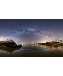 Douarnenez : Plancton phosphorescent dans le port du Rosmeur