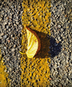 Photo à encadrer "Franchir la ligne jaune"