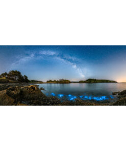Logonna-Daoulas : Plancton phosphorescent à la Pointe du Bendy