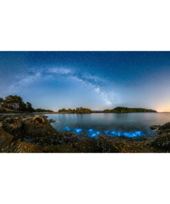 Logonna-Daoulas : Plancton phosphorescent à la Pointe du Bendy