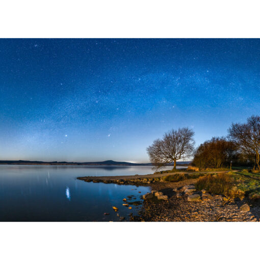 Botmeur : Arbre au bord de Brennilis sous les étoiles