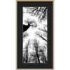 Cadre panoramique 12x22 cm N°32 "Noir & Branche"