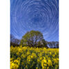 Pluguffan : Circumpolaire sur un champ de colza