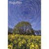 Magnet Pluguffan : Circumpolaire sur un champ de colza
